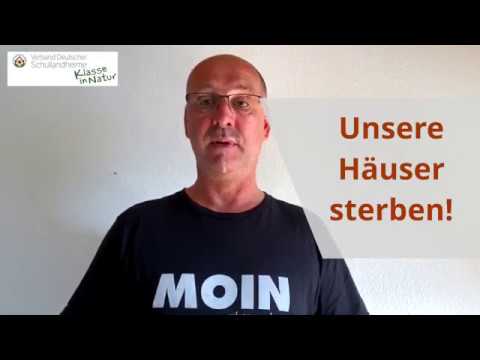 YouTube-Video-Thumbnail