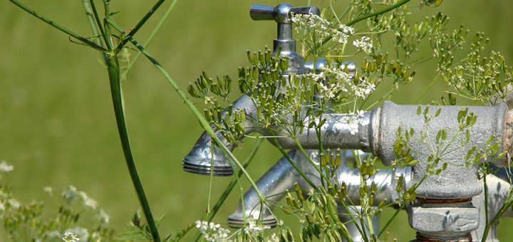 Wasserkreislauf
