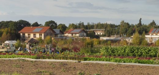Sieben Linden