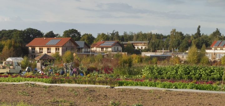 Sieben Linden