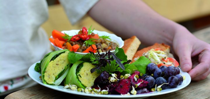 Tagesworkshop Ernährung vor Ort
