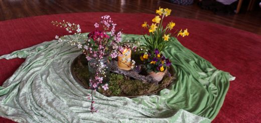 Frühlingsblumen in der Mitte