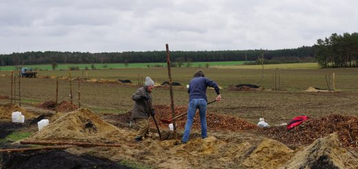 Agroforst