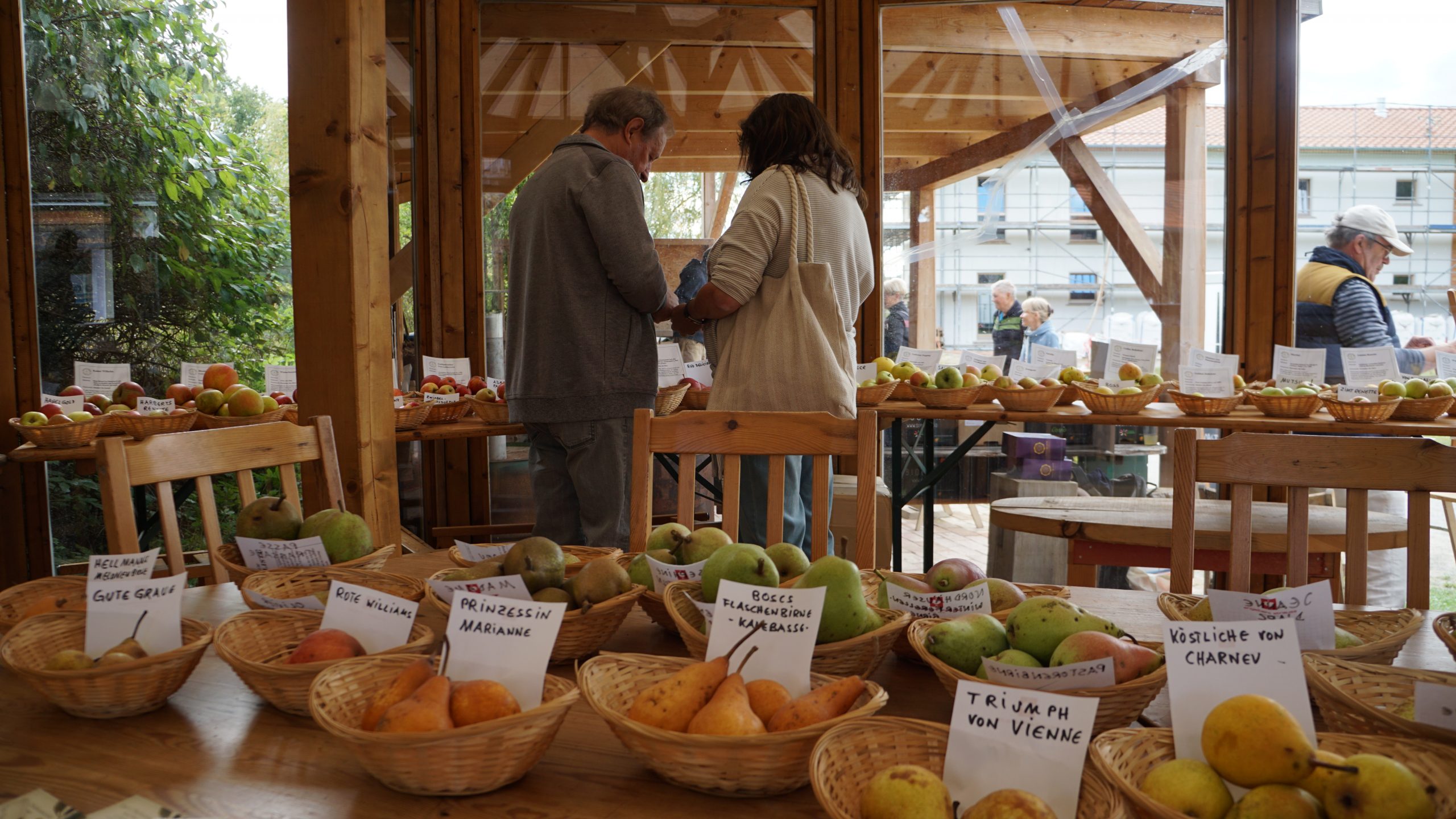 Expo de pommes