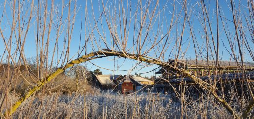 Wintermorgen