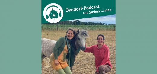 Pferdearbeit im Ökodorf Sieben Linden. Simone und Mirjam mit einem Pferd auf der Wiese