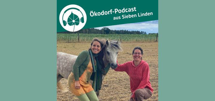 Pferdearbeit im Ökodorf Sieben Linden. Simone und Mirjam mit einem Pferd auf der Wiese