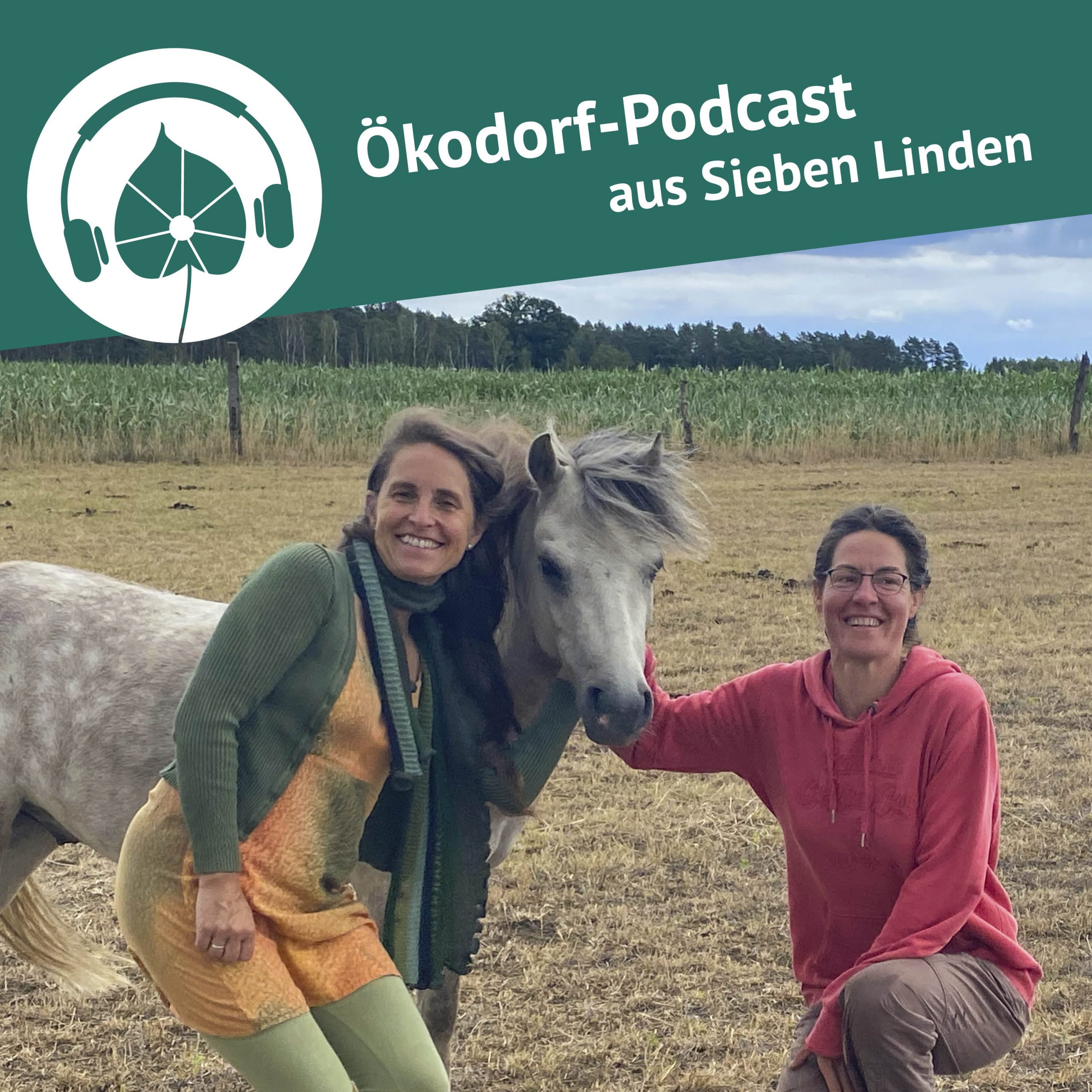 Pferdearbeit in Sieben Linden. Mirjam und Simone mit einem Pferd.