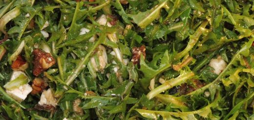 Löwenzahnsalat