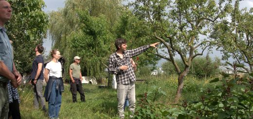 Thomas steht im Garten des Permakulutur-Dorf Sieben Linden und zeigt auf einen Baum während einer Führung.