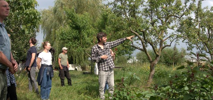 Thomas steht im Garten des Permakulutur-Dorf Sieben Linden und zeigt auf einen Baum während einer Führung.