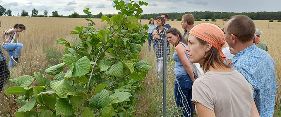 Agroforst
