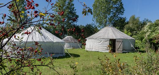 Globolo - Jurten in Sieben Linden