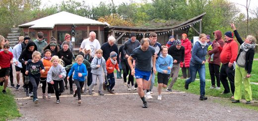 Sieben Linden Lauf