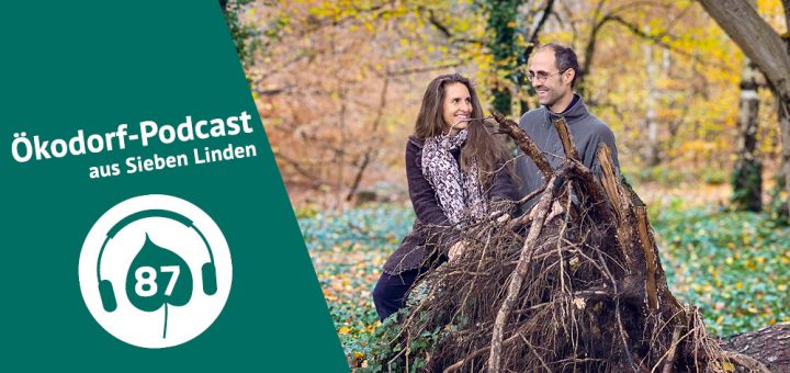 Headerbild zur Podcasrfolge zum Sieben LInden Wald, Dürre und Borkenkäfer