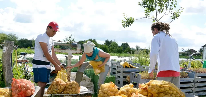 Drei Menschen stehen im Garten. Im Vordergrund sind viele Kartoffelsäcke zusehen, im Hintergrund mehrere Kisten mit kleinen Pflanzen.