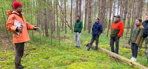 Menschen im Wald hören jemandem zu, der gerade etwas erklärt.