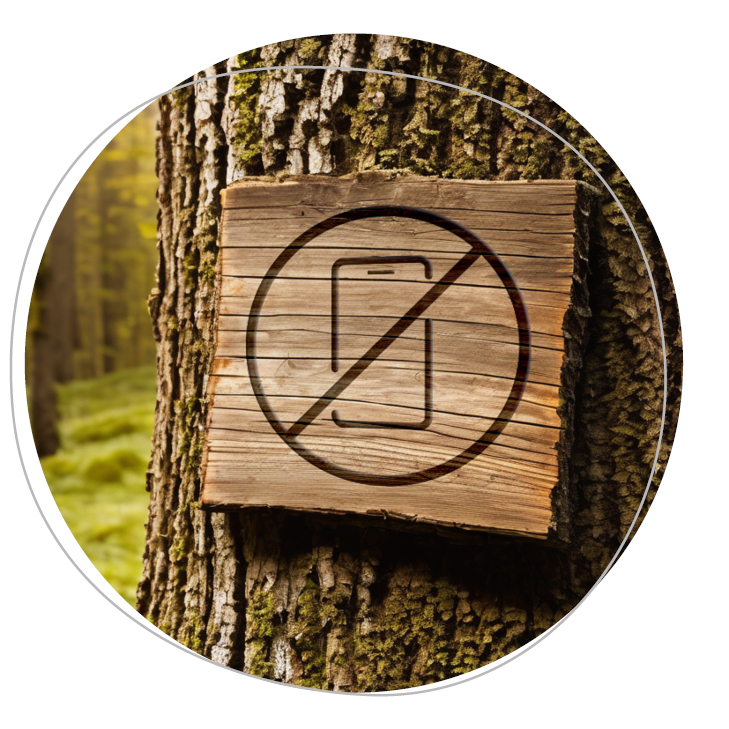 Digital Detox - kein Handy
